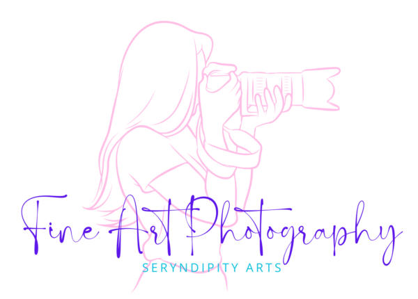 SA Fine Art